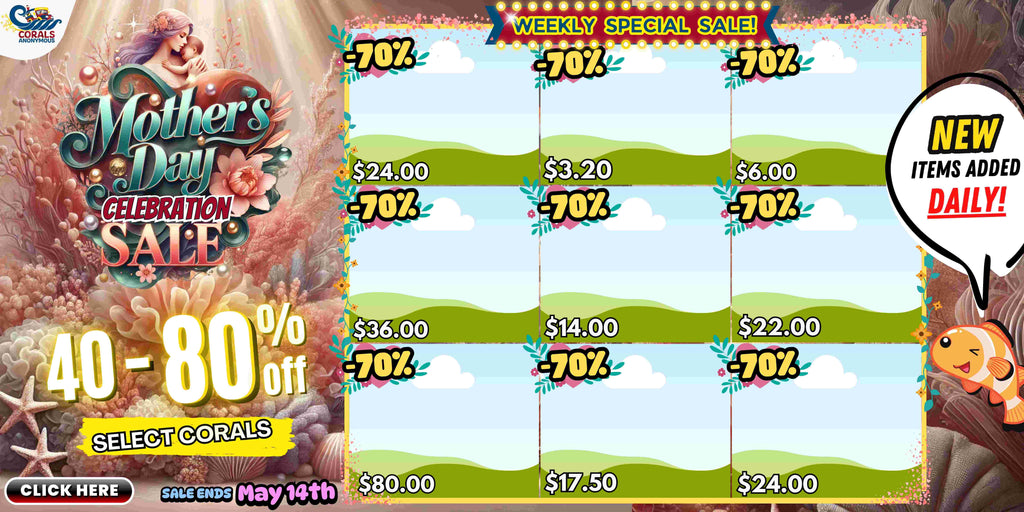 Mother's Day Clearance Sale