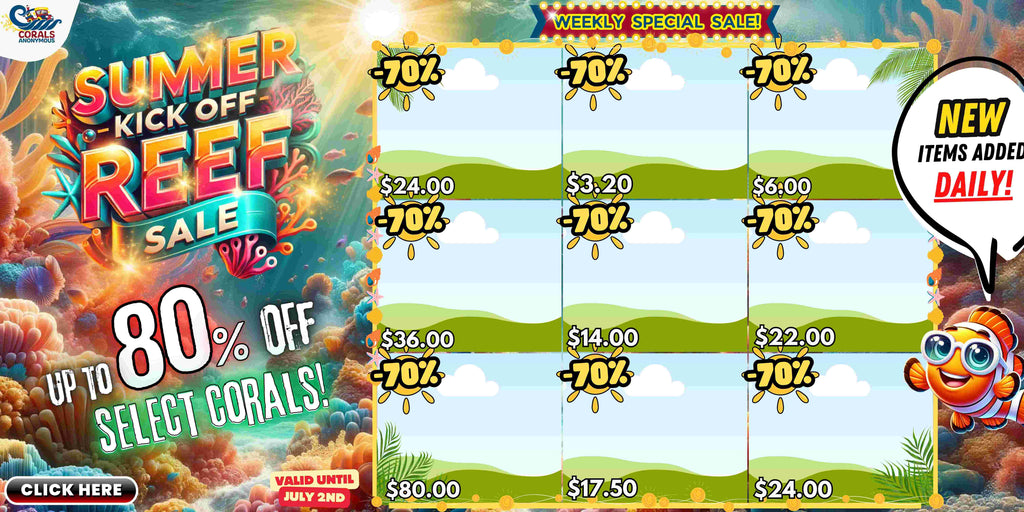 Summer Kick-Off Reef Sale
