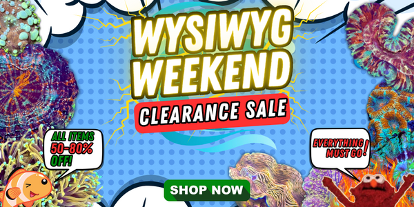 WYSIWYG Weekend Clearance Sale!
