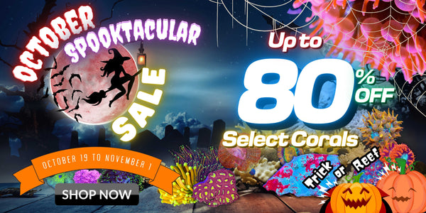 October Spooktacular Sale