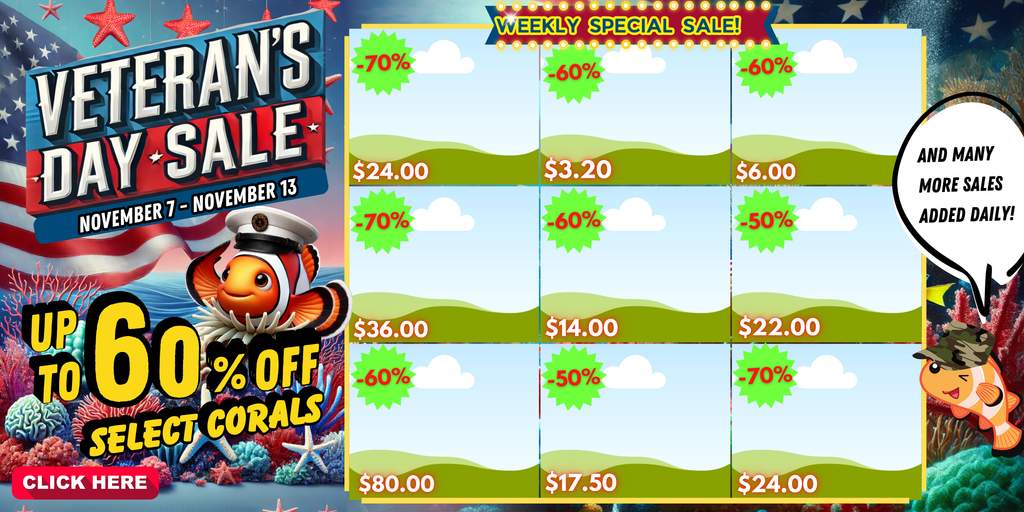 Veteran's Day Sale 2024