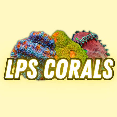 Other LPS