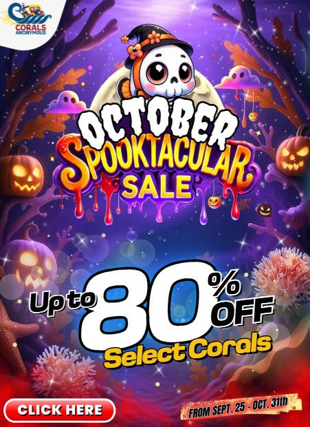 October Spooktacular Sale 2025