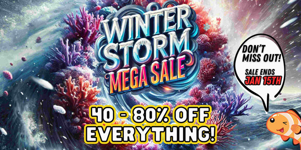 2025 Winter Storm MEGA Sale