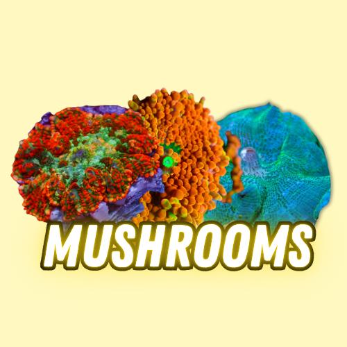 Mushrooms