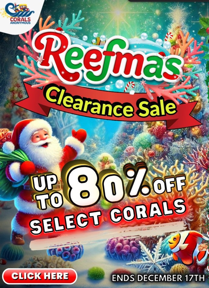 Reefmas Clearance Sale