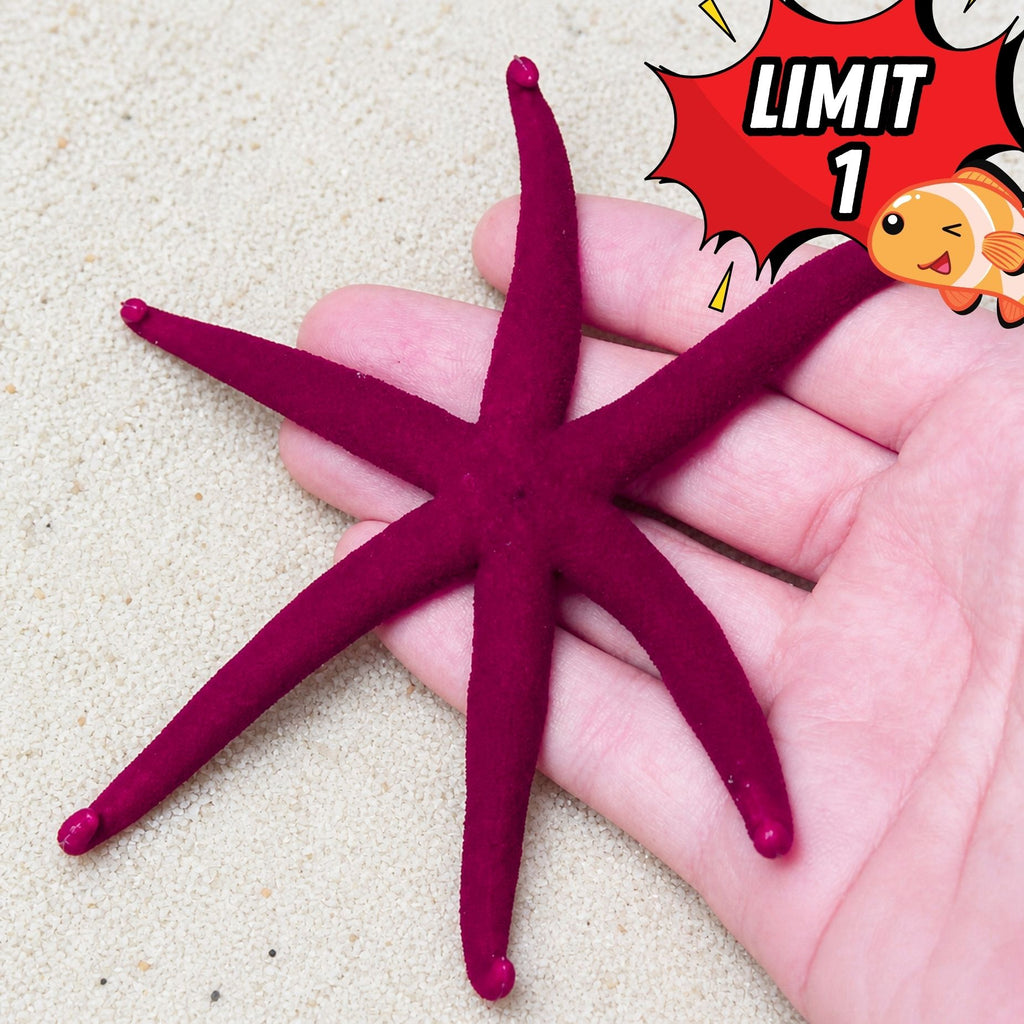Purple Linckia Starfish - Corals Anonymous