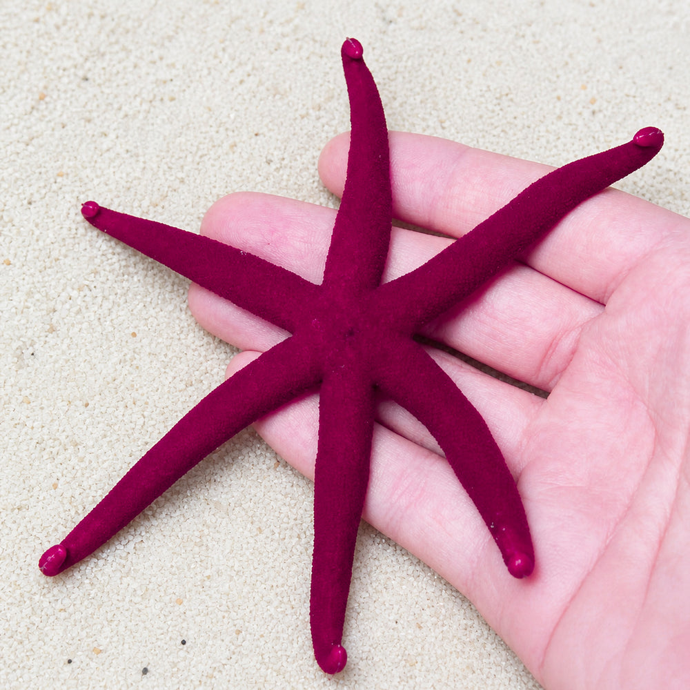 Purple Linckia Starfish