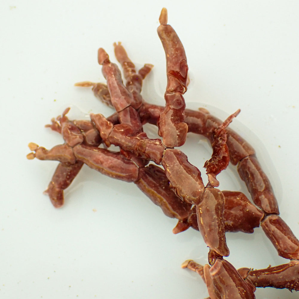 Branching Coralline Macroalgae (Rare)