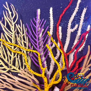 Assorted Gorgonian (6-12 Colony) Gorgonian