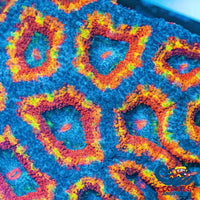 Ultra Rainbow Coldfire Acans (2-3 Polyps) Acans