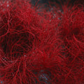 Fire Silk Macroalgae