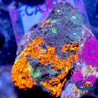 Wysiwyg Rainbow Cosmo Sky Chalice (1-2 Frag) Chalice