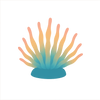 Zoanthids