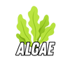 Macroalgae